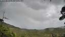 ./images/calvert/fitz-hugh-hecate/20260604/fitz-hugh-hecate20260604_145501M.jpg