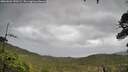 ./images/calvert/fitz-hugh-hecate/20260604/fitz-hugh-hecate20260604_150501M.jpg