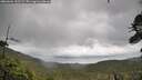 ./images/calvert/fitz-hugh-hecate/20260604/fitz-hugh-hecate20260604_152502M.jpg
