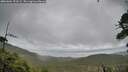 ./images/calvert/fitz-hugh-hecate/20260604/fitz-hugh-hecate20260604_153501M.jpg