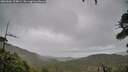 ./images/calvert/fitz-hugh-hecate/20260604/fitz-hugh-hecate20260604_154001M.jpg