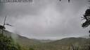 ./images/calvert/fitz-hugh-hecate/20260604/fitz-hugh-hecate20260604_155001M.jpg