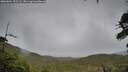 ./images/calvert/fitz-hugh-hecate/20260604/fitz-hugh-hecate20260604_155501M.jpg
