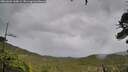 ./images/calvert/fitz-hugh-hecate/20260604/fitz-hugh-hecate20260604_160001M.jpg