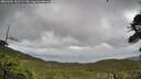 ./images/calvert/fitz-hugh-hecate/20260604/fitz-hugh-hecate20260604_162501M.jpg
