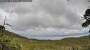 ./images/calvert/fitz-hugh-hecate/20260604/fitz-hugh-hecate20260604_163001M.jpg