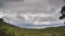 ./images/calvert/fitz-hugh-hecate/20260604/fitz-hugh-hecate20260604_163502M.jpg