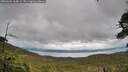 ./images/calvert/fitz-hugh-hecate/20260604/fitz-hugh-hecate20260604_164501M.jpg