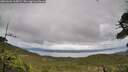 ./images/calvert/fitz-hugh-hecate/20260604/fitz-hugh-hecate20260604_165001M.jpg