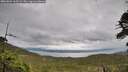 ./images/calvert/fitz-hugh-hecate/20260604/fitz-hugh-hecate20260604_165501M.jpg