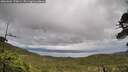./images/calvert/fitz-hugh-hecate/20260604/fitz-hugh-hecate20260604_170001M.jpg