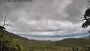 ./images/calvert/fitz-hugh-hecate/20260604/fitz-hugh-hecate20260604_171001M.jpg