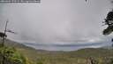 ./images/calvert/fitz-hugh-hecate/20260604/fitz-hugh-hecate20260604_172501M.jpg