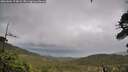 ./images/calvert/fitz-hugh-hecate/20260604/fitz-hugh-hecate20260604_174002M.jpg