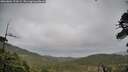 ./images/calvert/fitz-hugh-hecate/20260604/fitz-hugh-hecate20260604_174502M.jpg