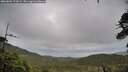 ./images/calvert/fitz-hugh-hecate/20260604/fitz-hugh-hecate20260604_175001M.jpg