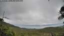 ./images/calvert/fitz-hugh-hecate/20260604/fitz-hugh-hecate20260604_180001M.jpg
