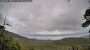 ./images/calvert/fitz-hugh-hecate/20260604/fitz-hugh-hecate20260604_181001M.jpg