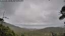 ./images/calvert/fitz-hugh-hecate/20260604/fitz-hugh-hecate20260604_181501M.jpg