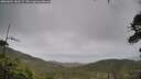 ./images/calvert/fitz-hugh-hecate/20260604/fitz-hugh-hecate20260604_182502M.jpg