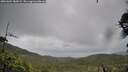 ./images/calvert/fitz-hugh-hecate/20260604/fitz-hugh-hecate20260604_183002M.jpg