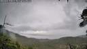 ./images/calvert/fitz-hugh-hecate/20260604/fitz-hugh-hecate20260604_190001M.jpg