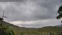 ./images/calvert/fitz-hugh-hecate/20260604/fitz-hugh-hecate20260604_211001M.jpg