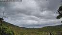 ./images/calvert/fitz-hugh-hecate/20260604/fitz-hugh-hecate20260604_212501M.jpg