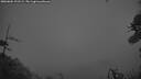 ./images/calvert/fitz-hugh-hecate/20260604/fitz-hugh-hecate20260604_221501M.jpg