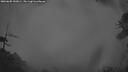 ./images/calvert/fitz-hugh-hecate/20260605/fitz-hugh-hecate20260605_043001M.jpg