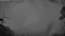 ./images/calvert/fitz-hugh-hecate/20260605/fitz-hugh-hecate20260605_043501M.jpg