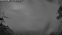 ./images/calvert/fitz-hugh-hecate/20260605/fitz-hugh-hecate20260605_044001M.jpg