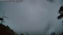 ./images/calvert/fitz-hugh-hecate/20260605/fitz-hugh-hecate20260605_045501M.jpg