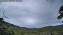 ./images/calvert/fitz-hugh-hecate/20260605/fitz-hugh-hecate20260605_052501M.jpg