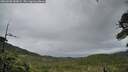 ./images/calvert/fitz-hugh-hecate/20260605/fitz-hugh-hecate20260605_053001M.jpg