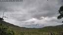 ./images/calvert/fitz-hugh-hecate/20260605/fitz-hugh-hecate20260605_071001M.jpg