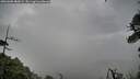 ./images/calvert/fitz-hugh-hecate/20260605/fitz-hugh-hecate20260605_080001M.jpg