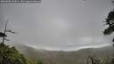 ./images/calvert/fitz-hugh-hecate/20260605/fitz-hugh-hecate20260605_101001M.jpg