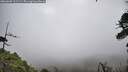 ./images/calvert/fitz-hugh-hecate/20260605/fitz-hugh-hecate20260605_111501M.jpg