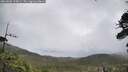 ./images/calvert/fitz-hugh-hecate/20260605/fitz-hugh-hecate20260605_115001M.jpg