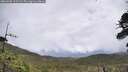 ./images/calvert/fitz-hugh-hecate/20260605/fitz-hugh-hecate20260605_115501M.jpg