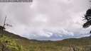 ./images/calvert/fitz-hugh-hecate/20260605/fitz-hugh-hecate20260605_120002M.jpg