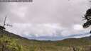 ./images/calvert/fitz-hugh-hecate/20260605/fitz-hugh-hecate20260605_120501M.jpg
