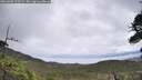 ./images/calvert/fitz-hugh-hecate/20260605/fitz-hugh-hecate20260605_123502M.jpg