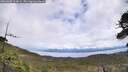 ./images/calvert/fitz-hugh-hecate/20260605/fitz-hugh-hecate20260605_124001M.jpg