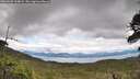./images/calvert/fitz-hugh-hecate/20260605/fitz-hugh-hecate20260605_134001M.jpg