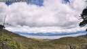 ./images/calvert/fitz-hugh-hecate/20260605/fitz-hugh-hecate20260605_140501M.jpg