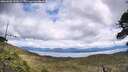 ./images/calvert/fitz-hugh-hecate/20260605/fitz-hugh-hecate20260605_141001M.jpg