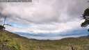 ./images/calvert/fitz-hugh-hecate/20260605/fitz-hugh-hecate20260605_145501M.jpg