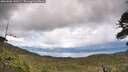 ./images/calvert/fitz-hugh-hecate/20260605/fitz-hugh-hecate20260605_150501M.jpg